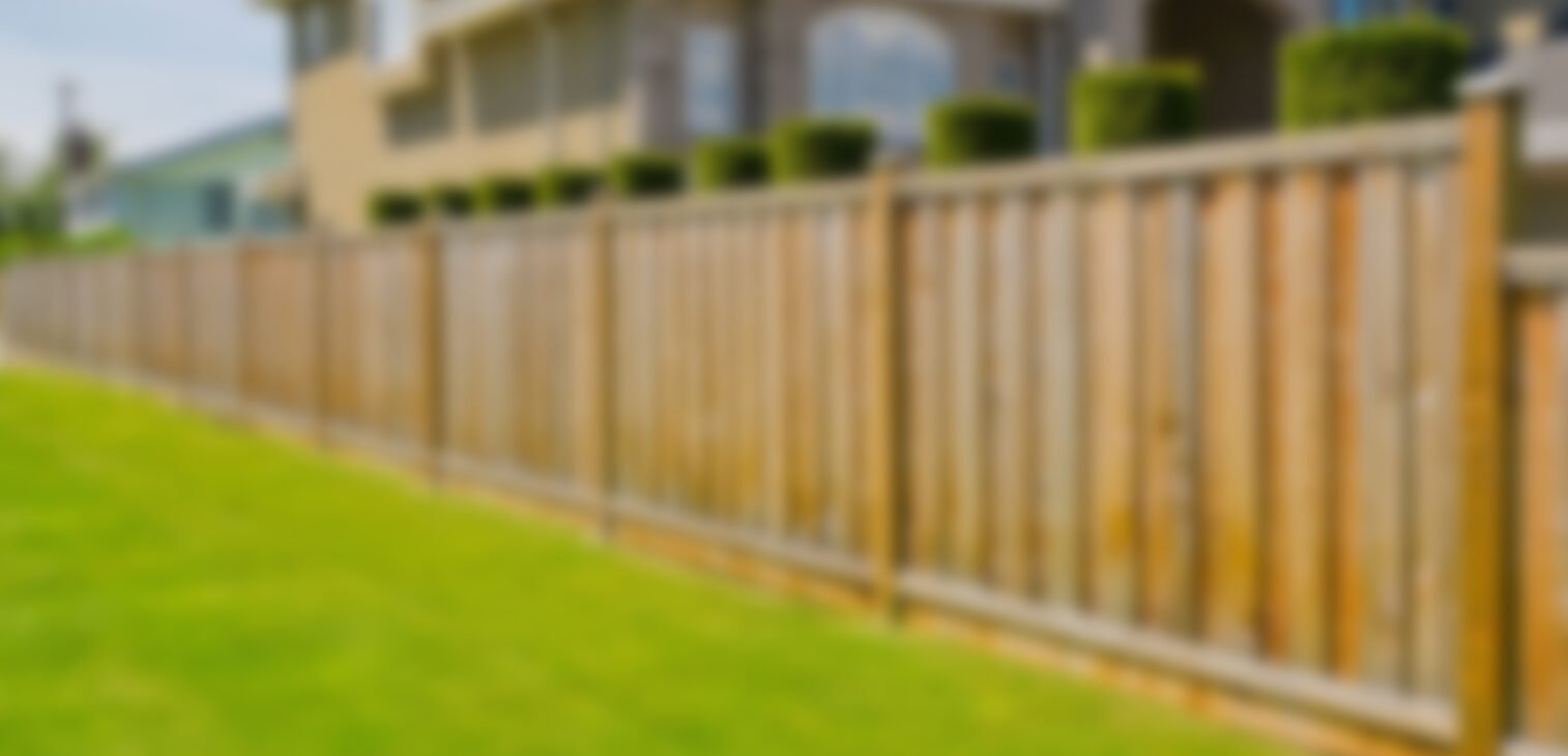 Maecenas facilisis dui ante, quis porta lacus egestas vitae. Aenean nunc dolor suscipit