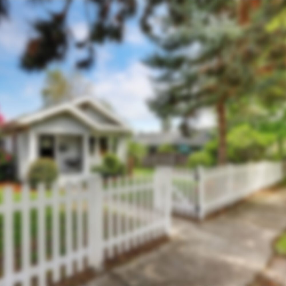 Nulla At Lectus Commodo