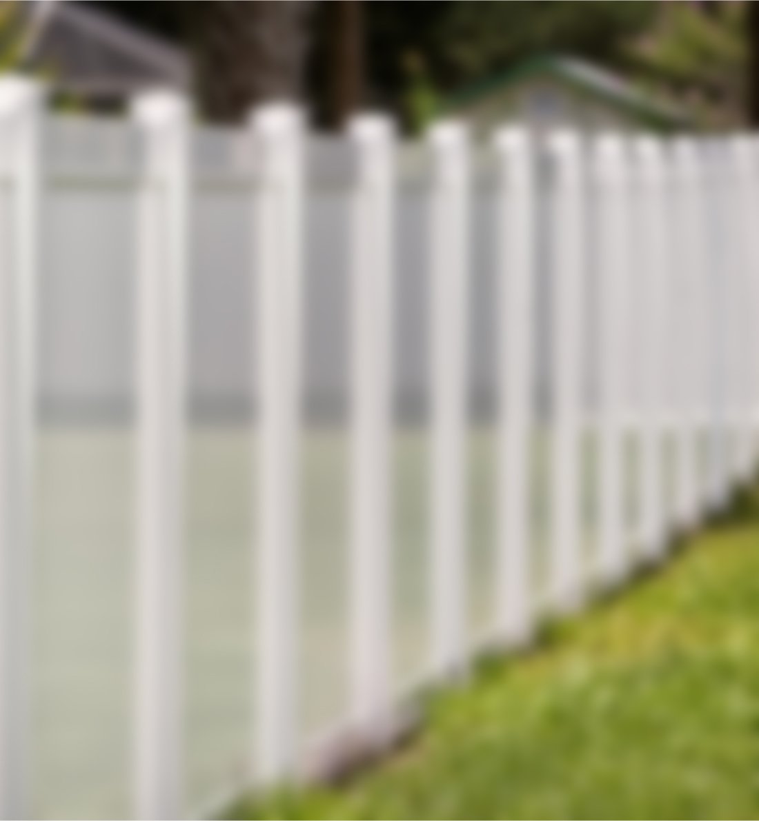 Rutrum Congue Leo Eget Malesuada